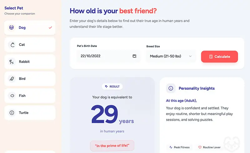 pet-age-app